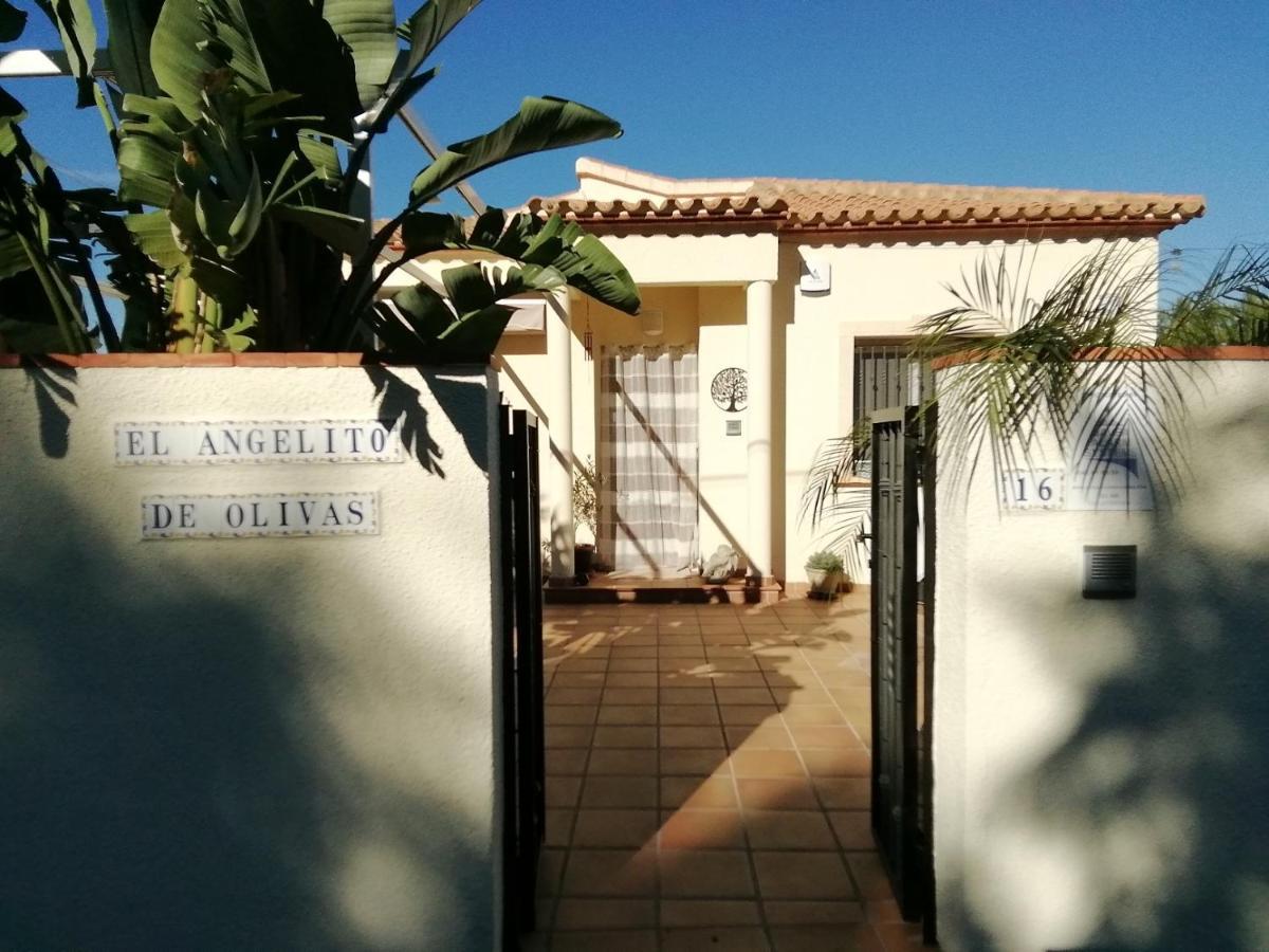 Guest House El Angelito De Olivas Pedreguer Εξωτερικό φωτογραφία