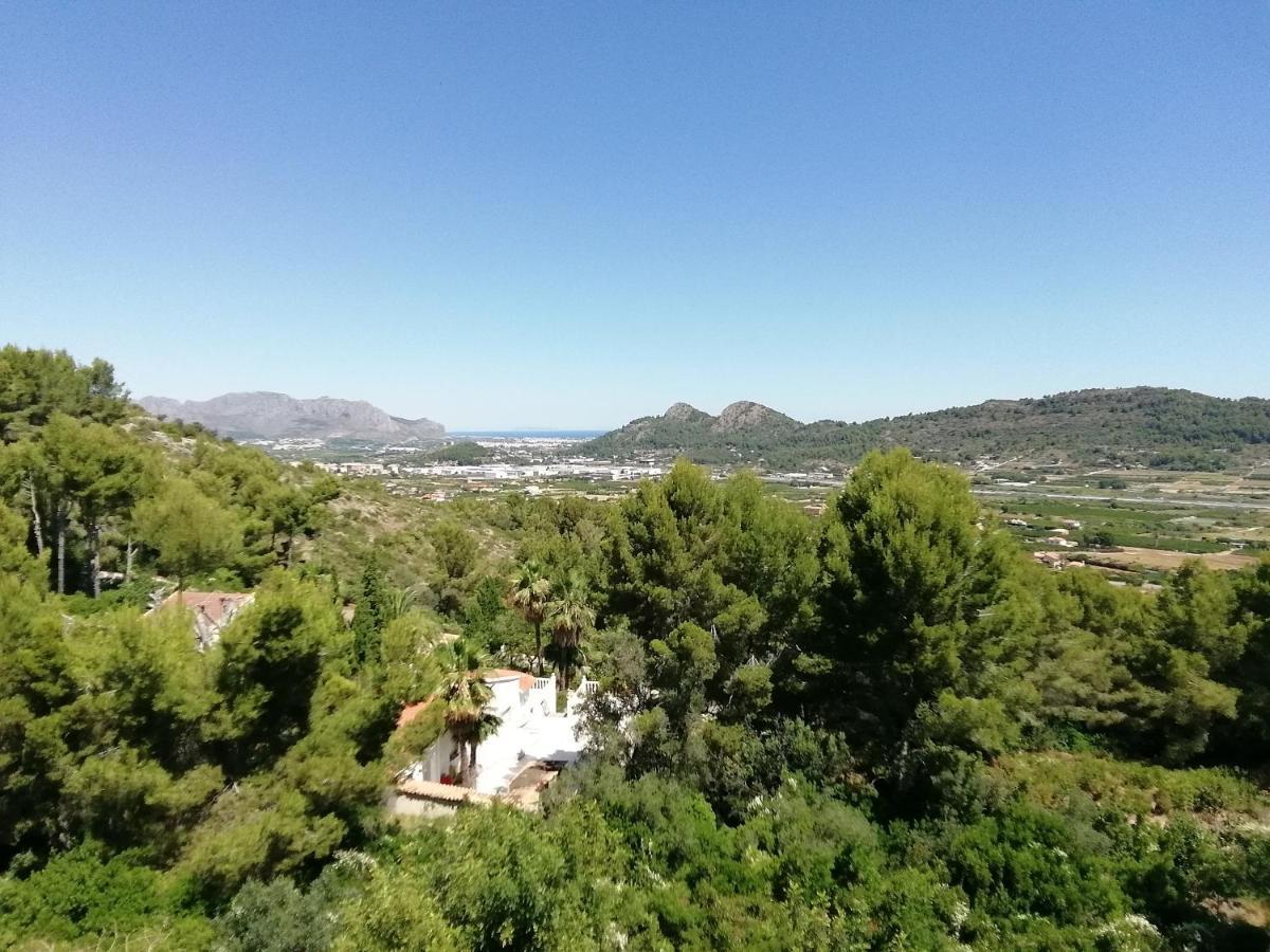 Guest House El Angelito De Olivas Pedreguer Εξωτερικό φωτογραφία